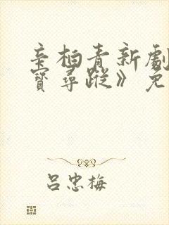 辛柏青新剧《护宝寻踪》免费观看