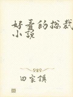 好看的总裁长篇小说