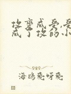 攻变成受,受变成了攻的小说