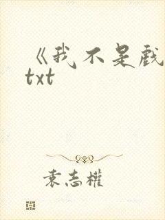 《我不是戏神》txt封面