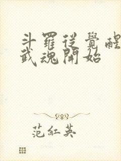 斗罗从觉醒朱雀武魂开始