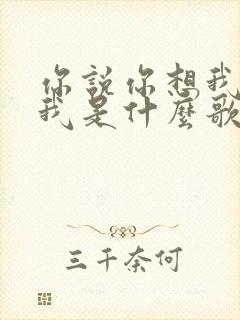 你说你想我你爱我是什么歌