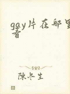 gay片在哪里看