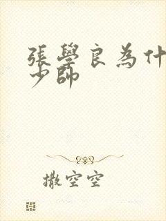 张学良为什么叫少帅封面