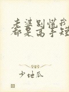 老婆别慌我全家都是高手短剧免费观看全集