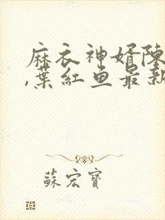 麻衣神婿陈黄皮,叶红鱼最新章节目录