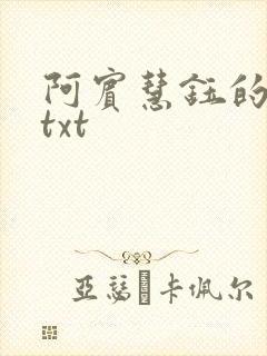 阿宾慧钰的小说txt