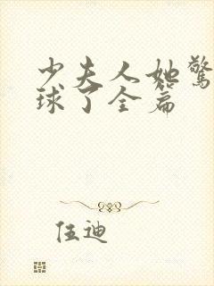 少夫人她惊艳全球了全篇封面