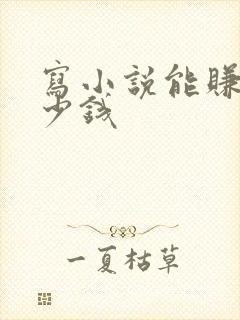 写小说能赚钱多少钱