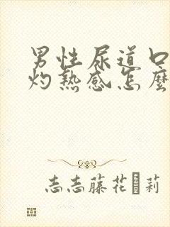 男性尿道口有点灼热感怎么回事封面