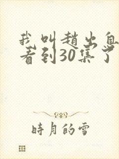 我叫赵出息可以看到30集了