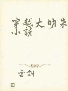 穿越大明朱雄英小说