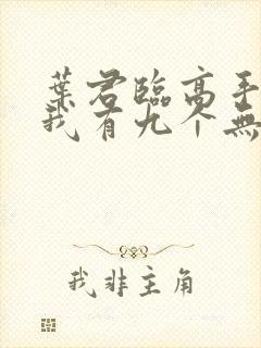 叶君临高手下山我有九个无敌师父