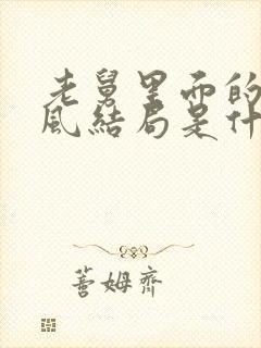 老舅里面的霍东风结局是什么