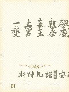 一上来就飙车的双男主泰剧