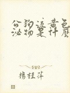 公狗流黄色的分泌物是什么原因