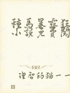 种马暴露狂阿豪小说免费阅读封面