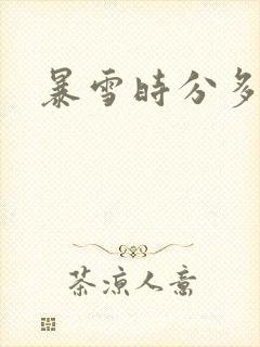 暴雪时分多少集