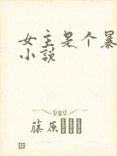 女主是个暴露狂小说封面