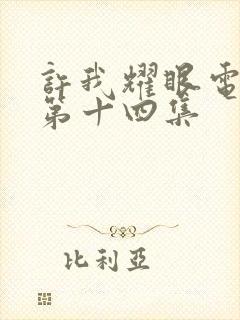 许我耀眼电视剧第十四集