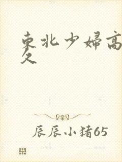 东北少妇高潮久久封面