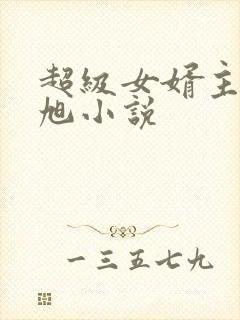 超级女婿主角赵旭小说封面