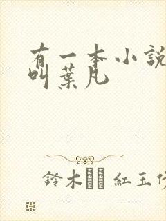 有一本小说主角叫叶凡