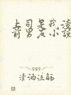 上司是我渣过的前男友小说免费阅读封面