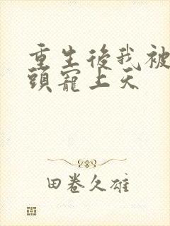 重生后我被死对头宠上天