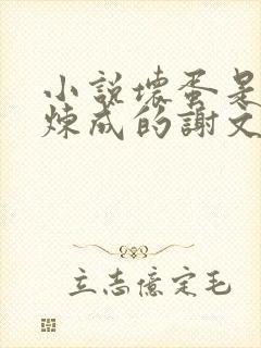 小说坏蛋是怎样炼成的谢文东免费