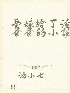 受嫁给了渣攻的爸爸的小说