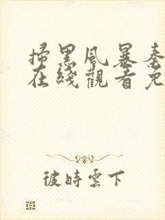 扫黑风暴秦昊版在线观看免费完整版