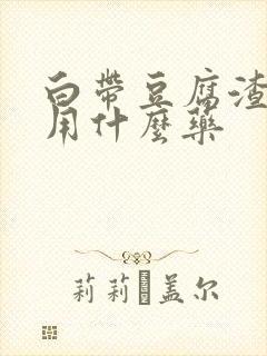 白带豆腐渣状痒用什么药