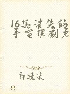 16集消失的凶手电视剧免费观看完整版