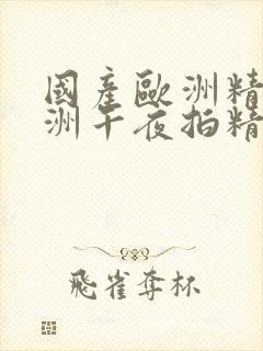 国产欧洲精品亚洲午夜拍精品