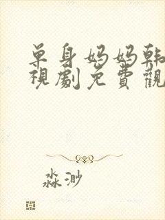 单身妈妈韩剧电视剧免费观看网站封面