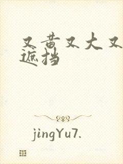 又黄又大又爽无遮挡