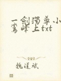 一剑独尊小说青鸾峰上txt