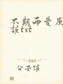 不期而爱原著小说txt