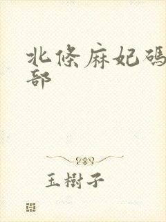 北条麻妃码10部