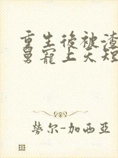 重生后被渣男舅舅宠上天短剧全集