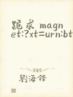 跪求 magnet:?xt=urn:btih: