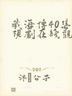 藏海传40集电视剧在线观看
