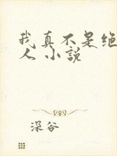 我真不是绝世高人 小说