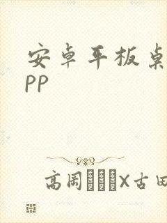 安卓平板桌面app