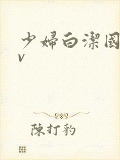 少妇白洁国产av