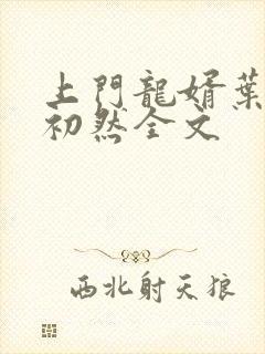 上门龙婿叶辰萧初然全文