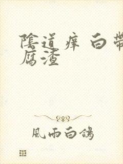 阴道痒 白带豆腐渣