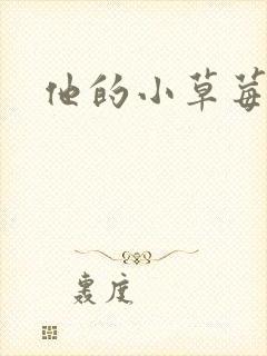 他的小草莓封面