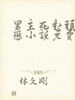 男主死对头的初恋小说免费阅读封面